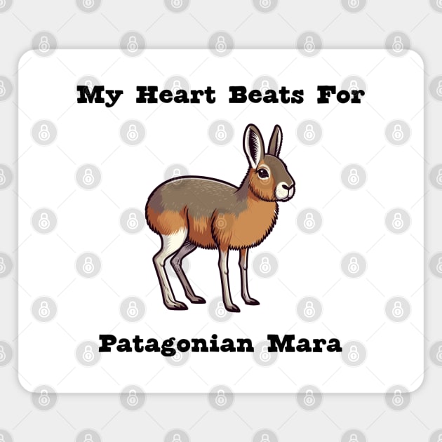 Patagonian Mara Magnet by dinokate